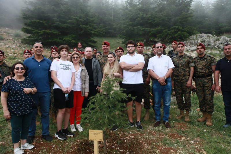 Cedar tree in memory of the Lebanese Commandos Regiment founder